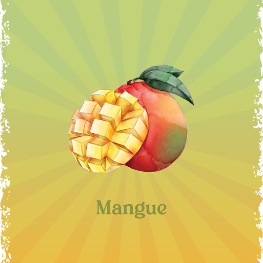 Sorbet Mangue