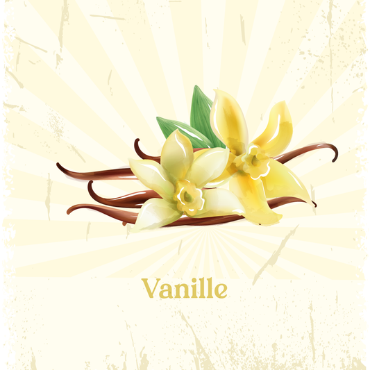 Glace Vanille